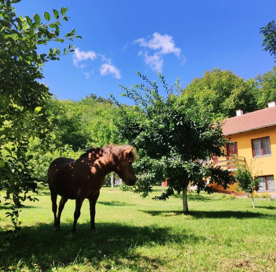 Вилла Planinska Kuca Rasovo Fruska Gora Сремска-Митровица Экстерьер фото